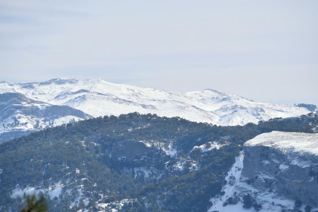 Appartamento Noelia Cazorla Sierra Arroyo Frio Esterno foto